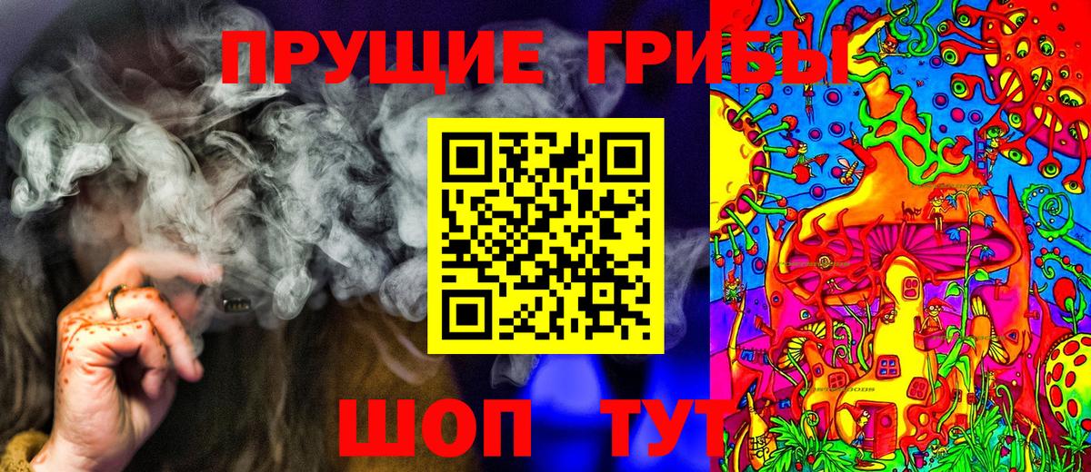 Добрянка  Галлюциногенные грибы Cubensis  Вход с VPN 