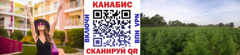 как найти закладки Добрянка Шишки марихуана сатива